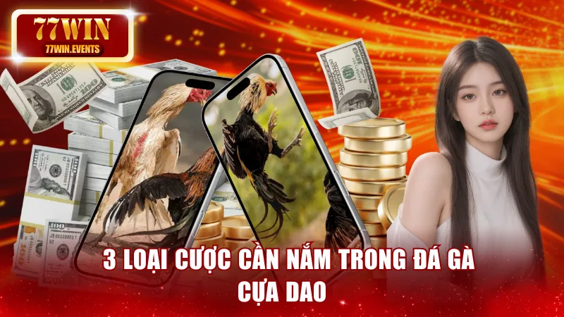3 loại cửa cược phổ biến trong đá gà cựa dao 