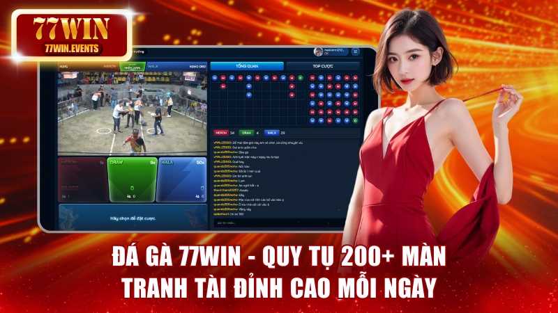 Đá Gà 77win - Quy Tụ 200+ Màn Tranh Tài Đỉnh Cao Mỗi Ngày