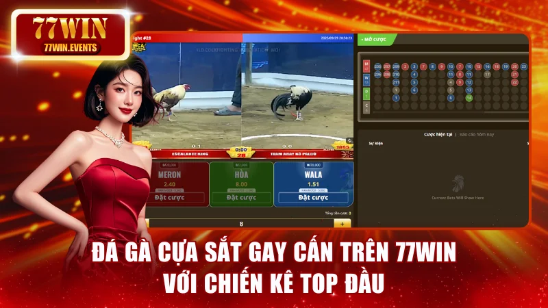 Đá gà cựa sắt