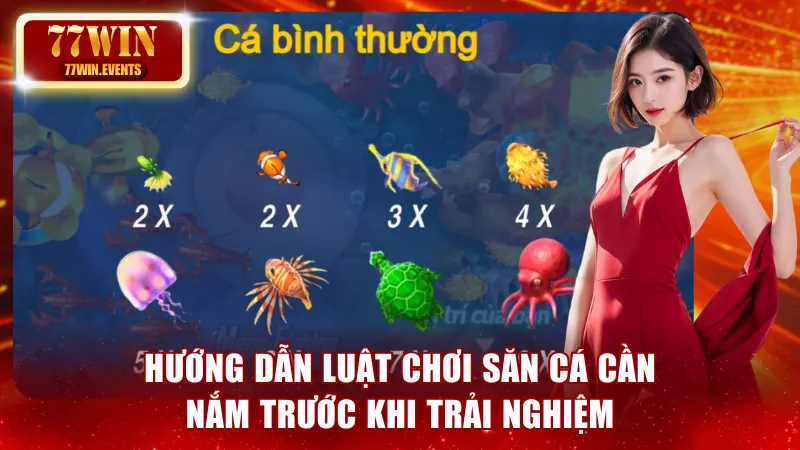 Hướng dẫn luật chơi săn cá cần nắm trước khi trải nghiệm